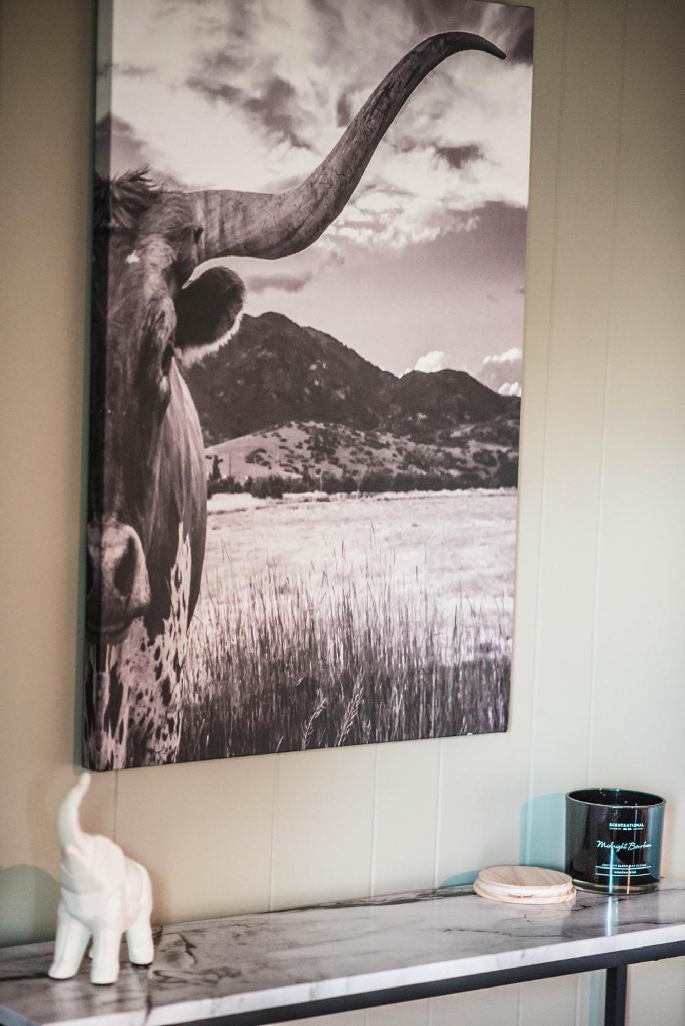 Villa Mount Tabor Ranch Near Vt - King Bed/Fast Wi-Fi Blacksburg Exterior foto